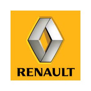 Original RENAULT navkapslar och emblem