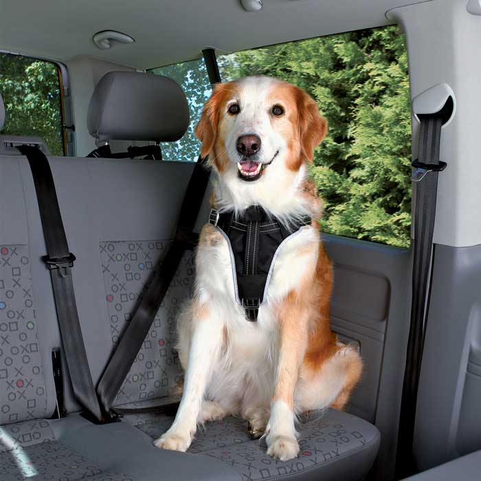 Luxus og - Hund i bilen - Industri ApS