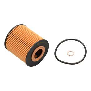 Castrol Oljefilter BMW 5 530D E39 3.0 (M57D30)