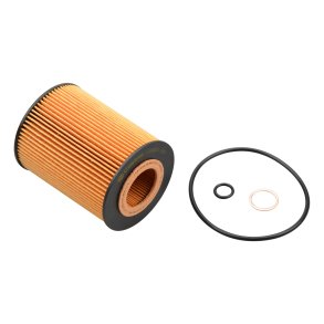 Castrol Oljefilter BMW X5 4.4/4.8 , 545 E60