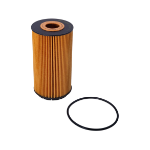Castrol Oljefilter AUDI A8 6.3 W12 11-18