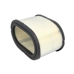 FLEETGUARD AF27906 Luftfilter