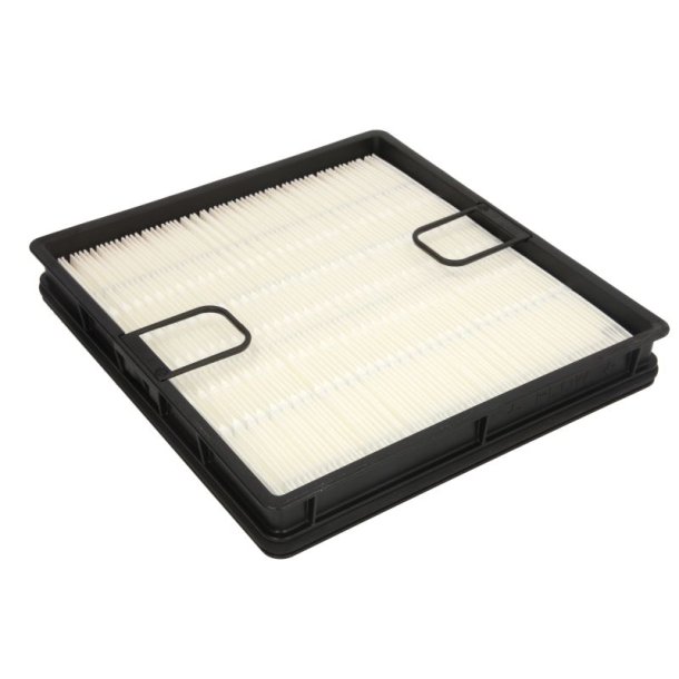 FLEETGUARD AF55309 Luftfilter