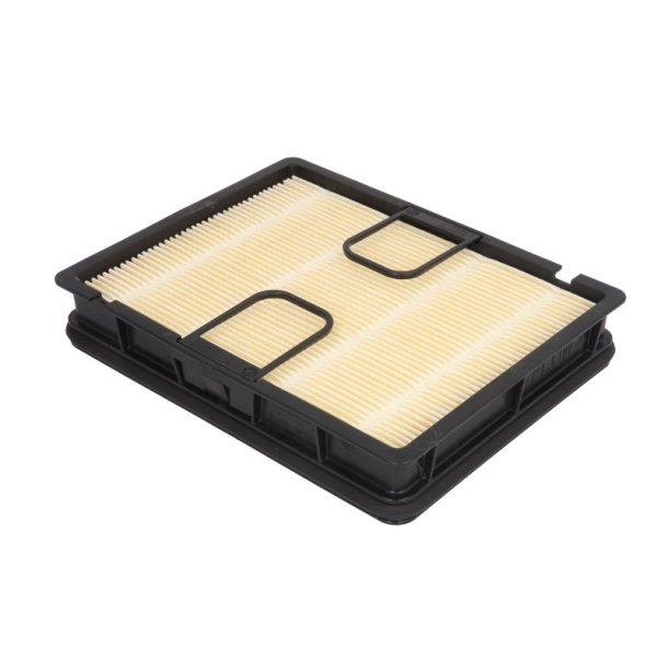 FLEETGUARD AF55312 Luftfilter
