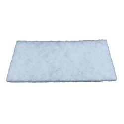 FLEETGUARD AF55769 Kabinluftfilter