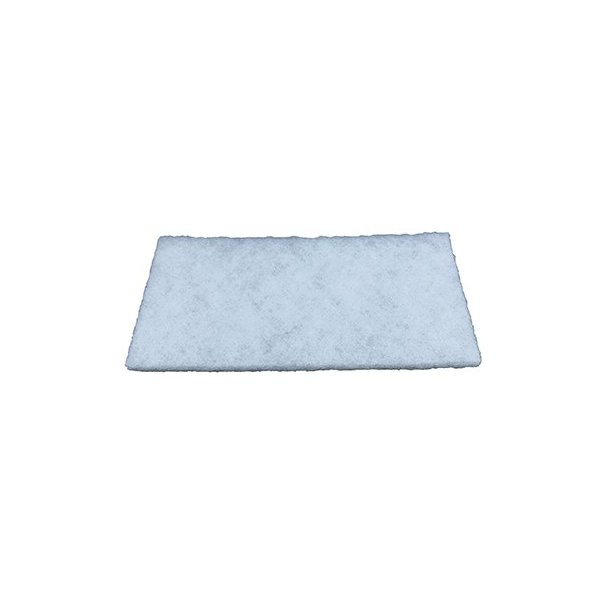 FLEETGUARD AF55769 Kabinluftfilter