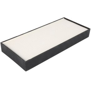 FLEETGUARD AF55819 Luftfilter