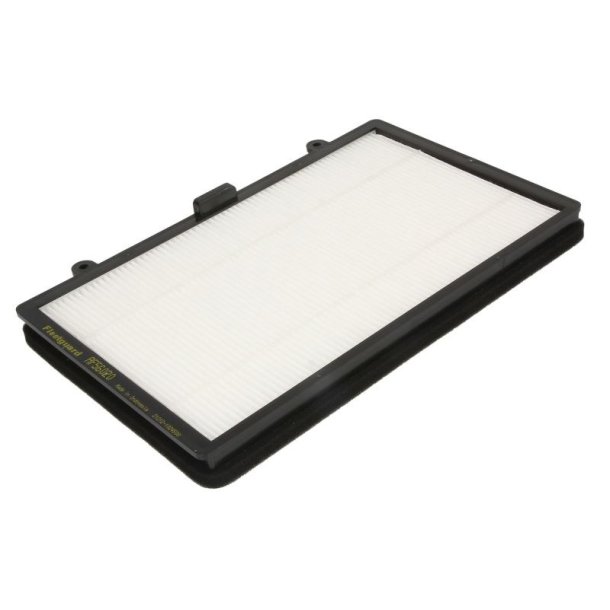FLEETGUARD AF56020 Luftfilter