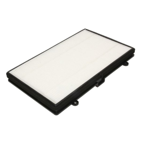 FLEETGUARD AF56020 Luftfilter