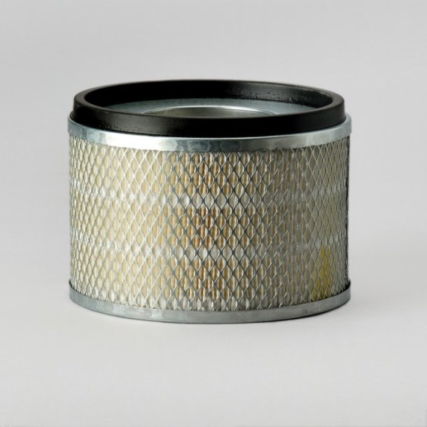 Donaldson Luftfilter P181125