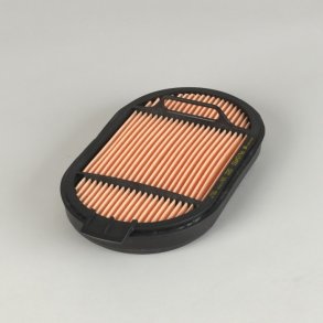 Donaldson Luftfilter P615493