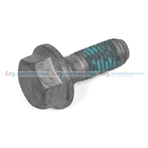 Skruvbromsok M10x 265mm BMW OE
