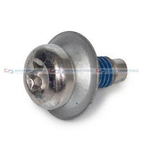 Skrue VW OE
