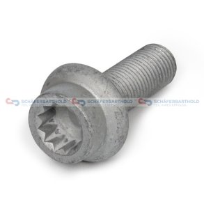 Skrue bremsekaliber M14x15x 40mm VW OE