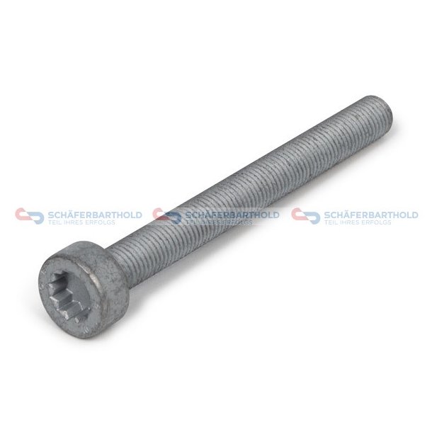 Skruvbromsok M12x15x 115mm VW OE