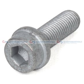 Skrue bremsekaliber M10x125x 30mm VW OE