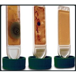 Liqui Moly Aircondition rens - 250 ml