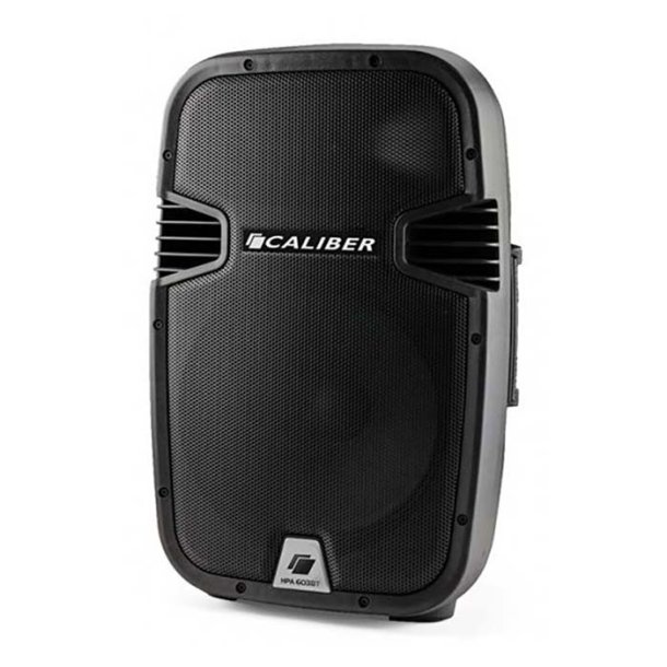 Caliber soundbox 12'' transportabel