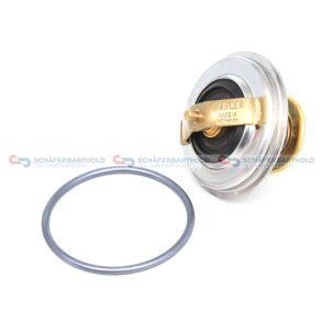 Termostat kølemiddel 87C|med pakning BORGWARNER