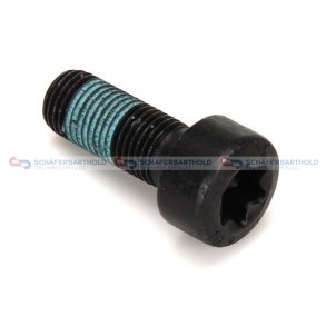 Svinghjulsskrue CIT/PEU OE