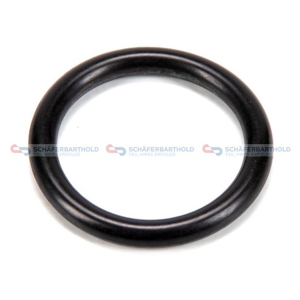 O-ring BMW OE