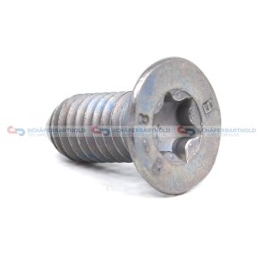 Skrue bremseskiveM6 CIT/PEU OE