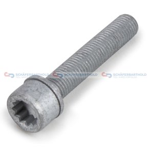 Skrue bremsekaliber M12x15x 65mm VW OE