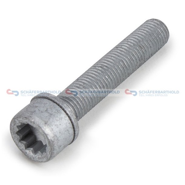 Skruvbromsok M12x15x 65mm VW OE