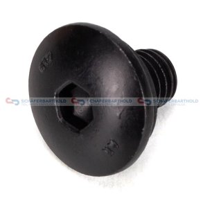 Skrue Karosseri M8x14 VW OE