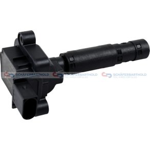 Tændspole BORGWARNER BERU