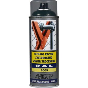 Ral 6009 high gloss fir green