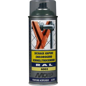 Ral 6003 high gloss olive green