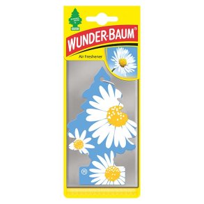 Wunderbaum 24 stk - Daisy flower