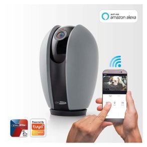 Caliber IP Kamera med bevægelsessensor pan og tilt