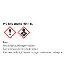 Liqui Moly Pro-Line Engine Flush 5L