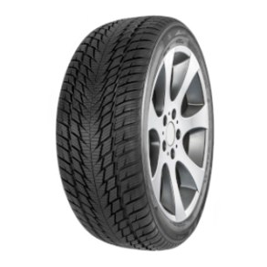 FORTUNA vinterdck 225/55R18