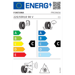 FORTUNA vinterdck 225/55R18