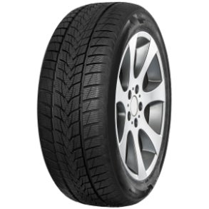 TRISTAR vinterdck 225/35R19